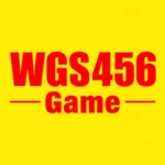 WGS456 Game Apk featured image
