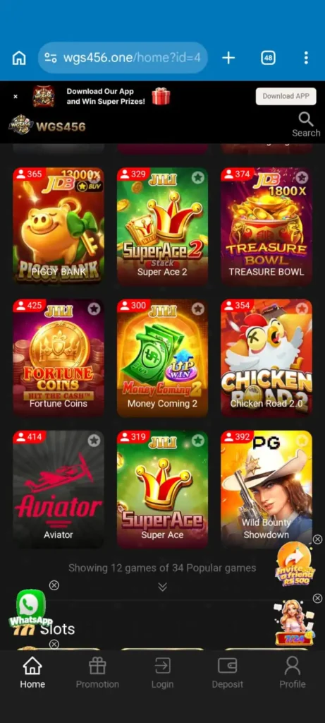 WGS456 Game home page